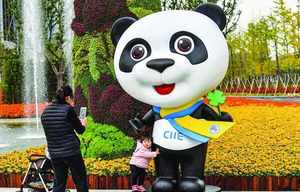首屆中國國際進口博覽會帶來了什么？