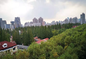 上海新華路花園洋房出租，246㎡獨棟