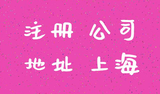上海注冊公司成功后怎么進(jìn)行查詢？