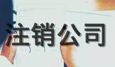 法人可以申請注銷公司嗎？