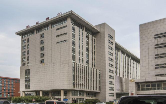 莘東置業(yè)：打造高品質(zhì)住宅，引領(lǐng)宜居新時代