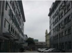 上海梅隴科技信息園助力企業(yè)跨越發(fā)展，筑夢科技未來